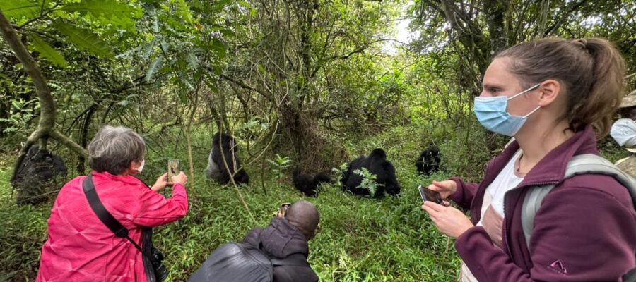 bwindi-impenetrable-national-park