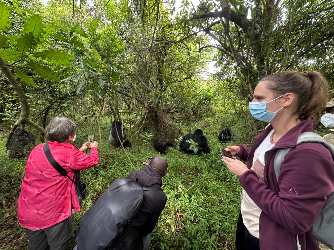 bwindi-impenetrable-national-park