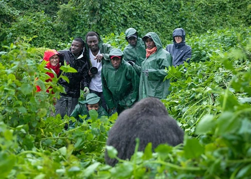 kigali-to-ruhija-gorilla-trekking-transfers