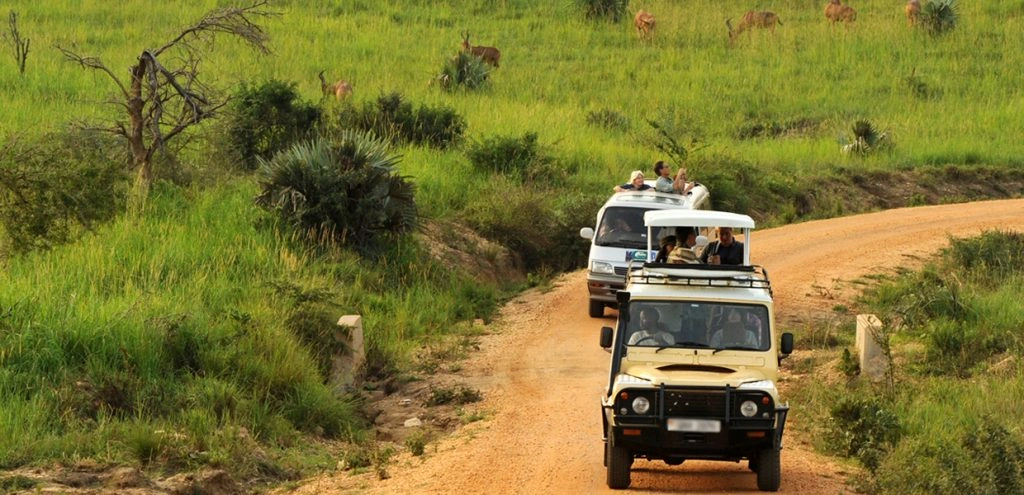why-4wd-vehicles-are-essential-for-uganda-safaris