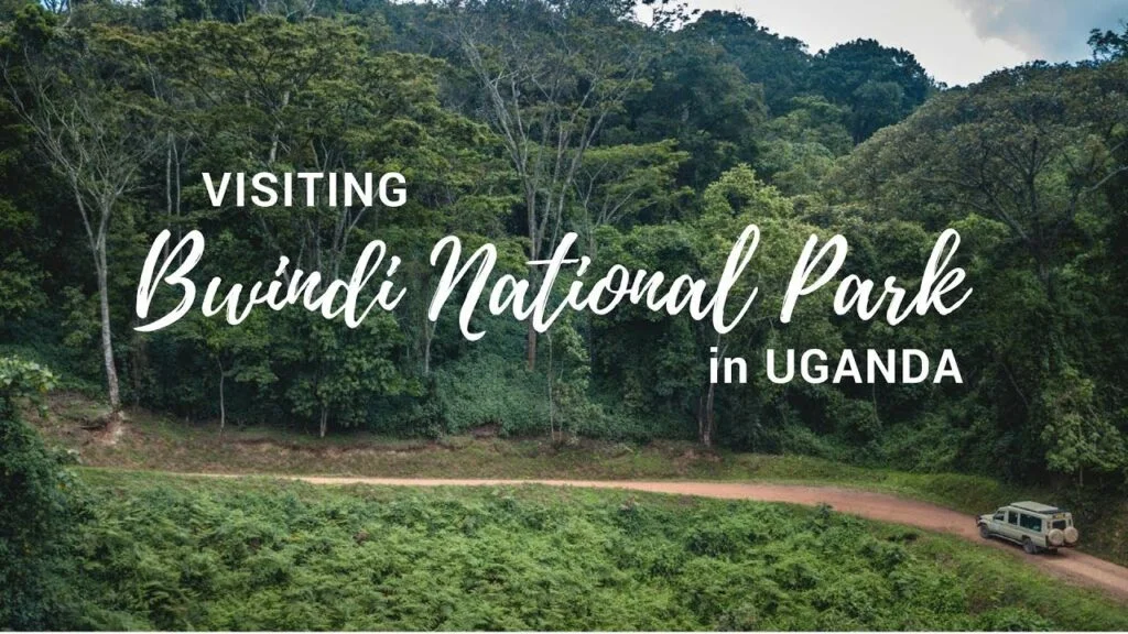 how-to-book-a-kigali-to-bwindi-transfer-online