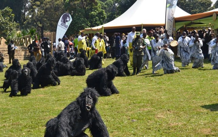 gorilla-naming-ceremony-in-rwanda