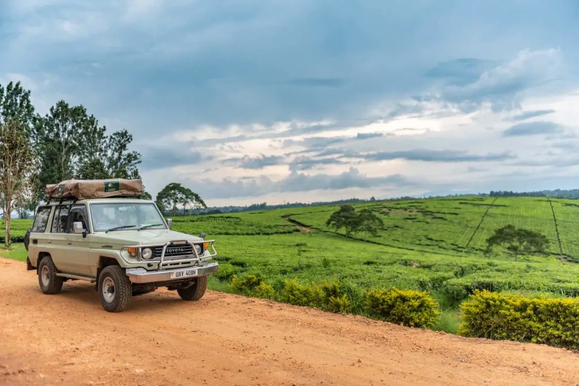 why-kigali-transfers-save-time-for-gorilla-trekkers