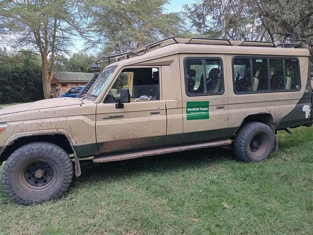 best-tour-operators-for-gorilla-safaris-in-rwanda