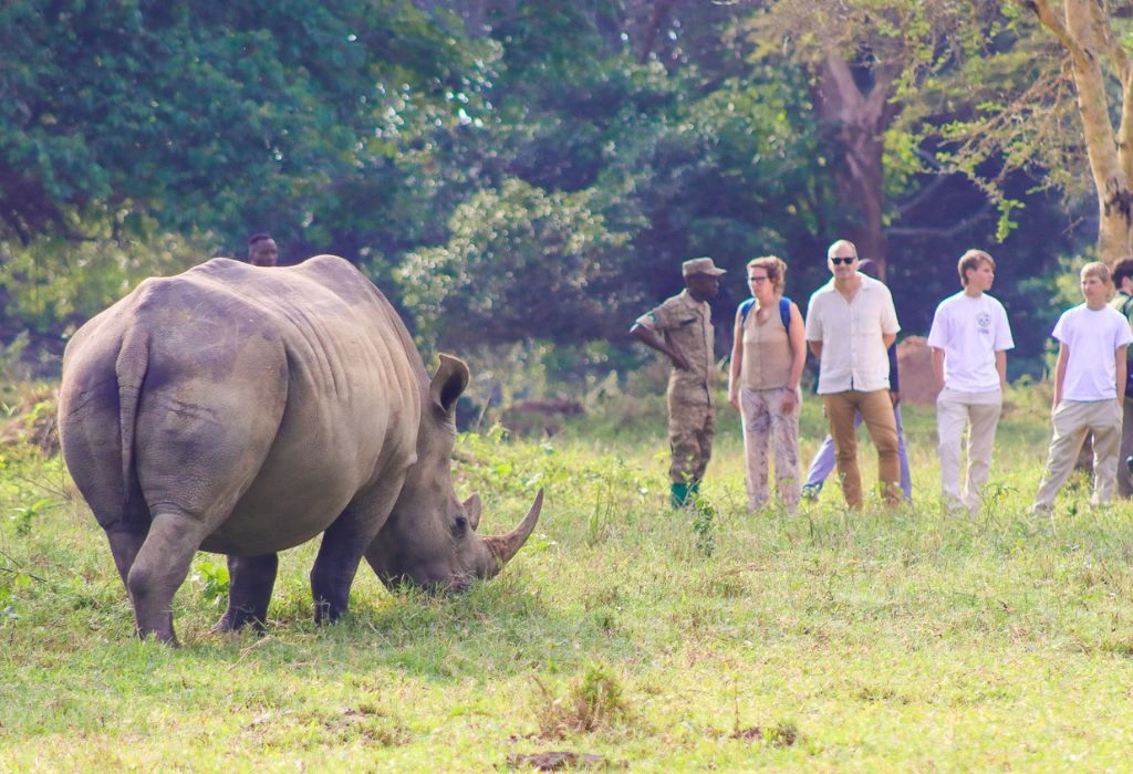 east-africa-safari-travel-insurance