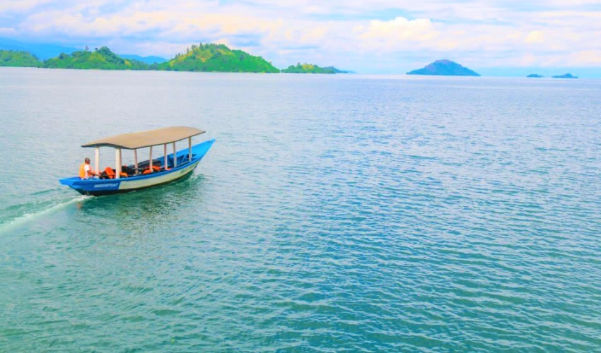 gorilla-trekking-and-lake-kivu-tours