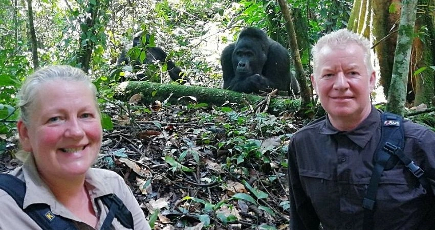 gorilla-trekking-during-the-rainy-season-in-bwindi