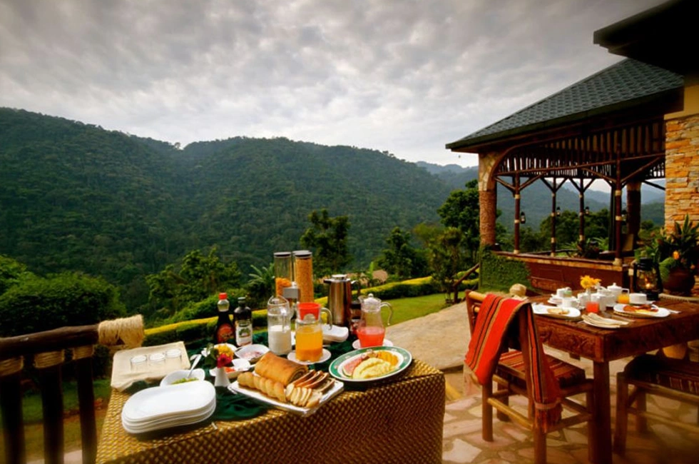 best-gorilla-trekking-lodges-in-bwindi