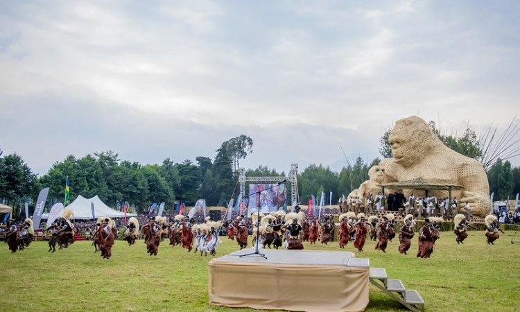 kwita-izina-festival-experience
