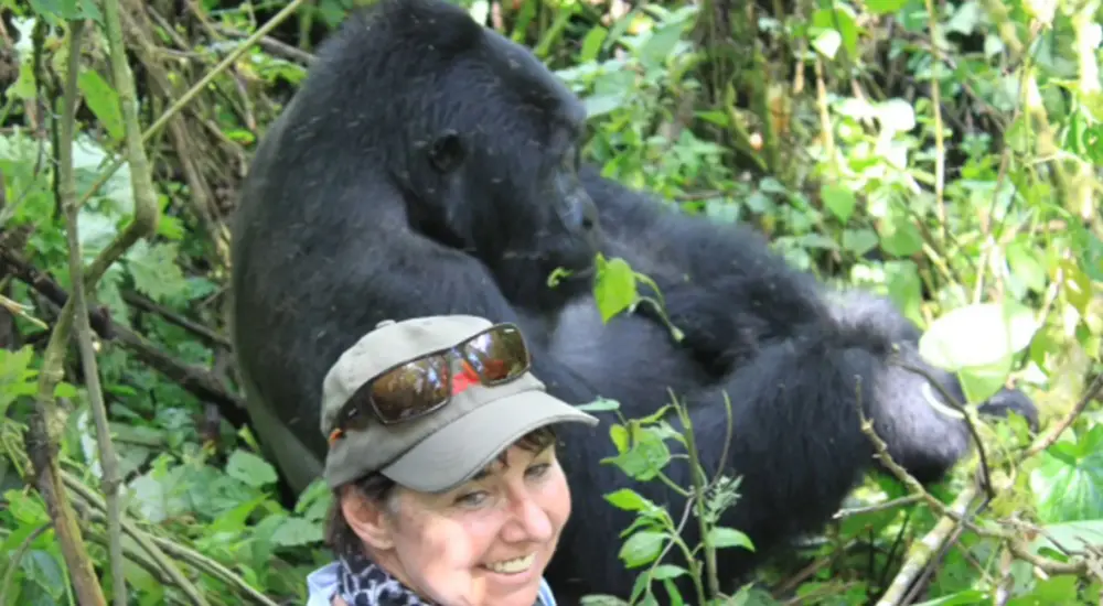 gorilla-trekking-tours-for-groups-in-uganda
