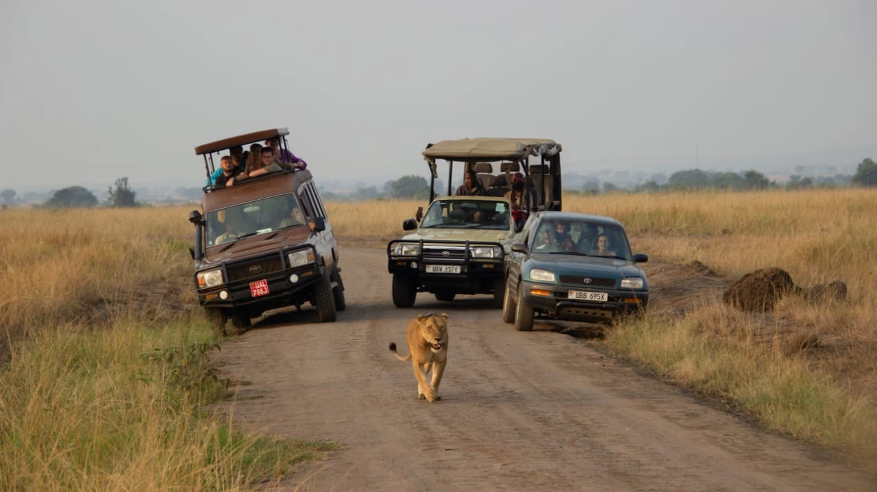 self-drive-safari-across-uganda-rwanda-kenya